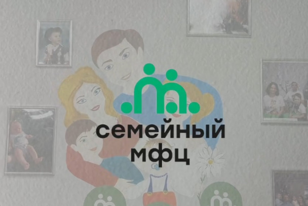 Семейный МФЦ в Отрадном помог свыше 600 раз