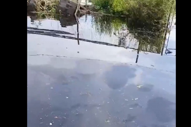 В огороде можно в тапочках ходить. Большая вода уходит из садоводств под поселком Лебяжье