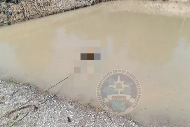 Тело мужчины подняли из грязного пруда под Киришами