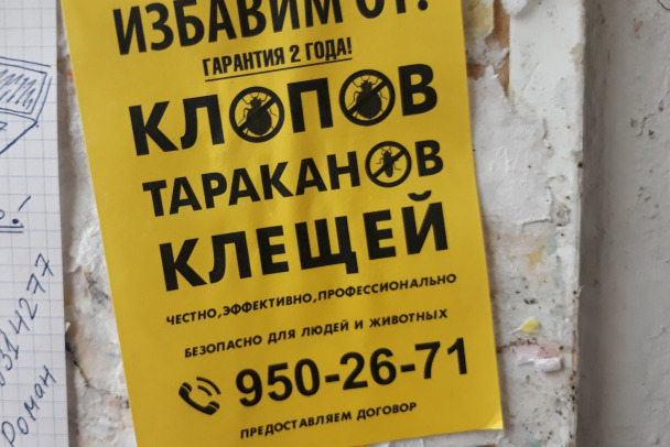 В московском Домодедове обезвредили массажные кресла. В них завелись паразиты