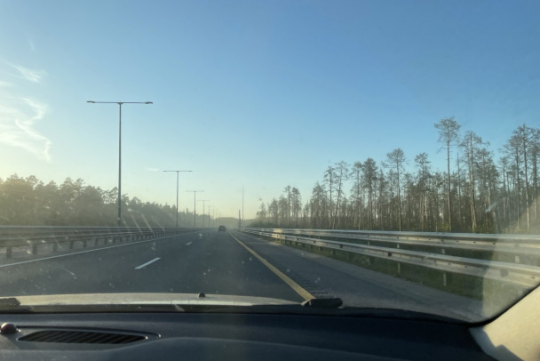 У поселка Смирново Geely во время обгона насмерть сбил двух нетрезвых пешеходов