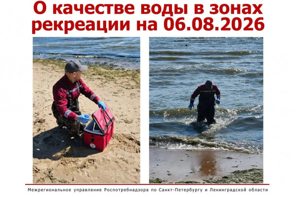 В Ленобласти и Петербурге не появилось безопасных для купания пляжей